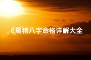 《属猪八字命格详解大全：运势揭秘》