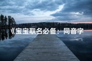 《宝宝取名必备：同音字大全集精选宝典》