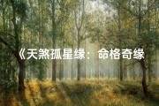 《天煞孤星缘：命格奇缘配对记》