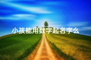 小孩能用数字起名字么