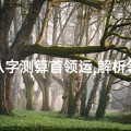 八字测算首领运,解析领导者命运走势