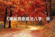 《揭秘男命咸池八字：命运轨迹与人生抉择》