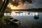 喻姓龙年宝宝取名大全集,《喻姓龙年宝宝取名大全：龙腾盛世，吉祥如意》