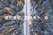夜归遇蛇：吉凶未卜，命运如何？