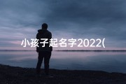 小孩子起名字2022(小孩子起名字大全 (2))
