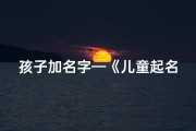 孩子加名字—《儿童起名：加字技巧与寓意精选》