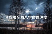 《戊辰辛酉八字命理深度解析大全》