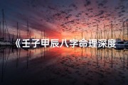 《壬子甲辰八字命理深度解析揭秘》