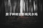 房子种树会影响风水吗