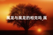 属龙与属龙的相克吗_属龙相克揭秘：龙龙相遇，命运如何？