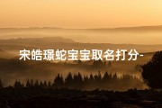 宋皓璟蛇宝宝取名打分-宋皓哲名字的含义