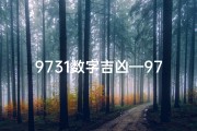 9731数字吉凶—9731数字吉凶揭秘：运势好坏一窥究竟