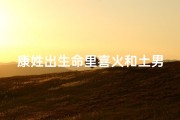 康姓出生命里喜火和土男宝宝取名、适合康姓的男孩名字