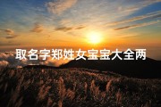 取名字郑姓女宝宝大全两个字(关于郑字的名字大全)