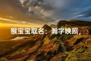 猴宝宝取名：瀚字映照，智慧成长之路