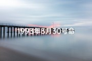 1993年3月30号命格(1993年3月30日：命运转折点，人生新篇章)