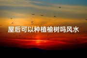 屋后可以种植榆树吗风水,屋后栽榆树栽几颗风水好吗