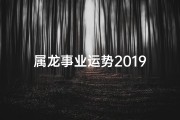属龙事业运势2019