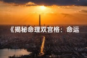 《揭秘命理双宫格：命运轨迹的双重解读》