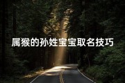属猴的孙姓宝宝取名技巧，吉祥寓意与文化传统的完美融合