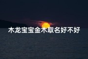 木龙宝宝金木取名好不好-《木龙宝宝金木：独特命名，寓意美好》