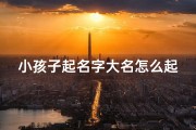 小孩子起名字大名怎么起,《宝宝起名攻略：如何为孩子挑选独特大名》