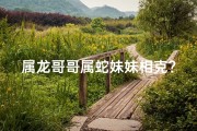 属龙哥哥属蛇妹妹相克？揭秘生肖相克真相