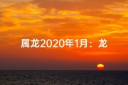 属龙2020年1月：龙腾盛世，新春启航