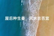 屋后种生姜，风水吉否宜深思