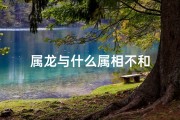 属龙与什么属相不和