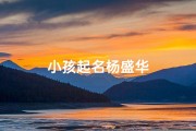 小孩起名杨盛华