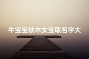 牛宝宝缺木女宝取名字大全