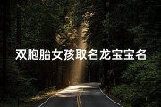 双胞胎女孩取名龙宝宝名字