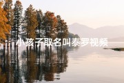小孩子取名叫泰罗视频