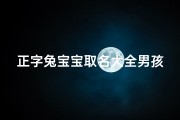 正字兔宝宝取名大全男孩—《正字兔宝宝取名大全：男孩吉祥好名字精选》