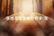 张姓马宝宝高分名字(张姓马年男宝宝起名)