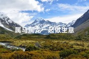 属马属龙一起做生意