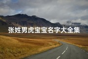 张姓男虎宝宝名字大全集