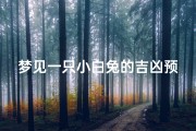 梦见一只小白兔的吉凶预兆解梦、《梦境小白兔：吉凶预兆揭秘》