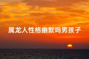 属龙人性格幽默吗男孩子、属龙男孩：龙腾虎跃，幽默风趣达人