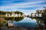 《丁未庚午八字命理深度解析揭秘》
