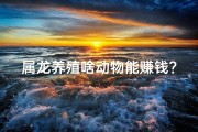 属龙养殖啥动物能赚钱？;属龙人养殖业生意：财运亨通之路