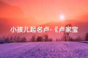 小孩儿起名卢-《卢家宝贝：快乐成长的小卢故事》