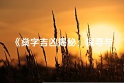 《燊字吉凶揭秘：探寻与燊字相配的吉祥字》