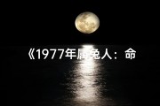 《1977年属兔人：命运轨迹与人生启示》