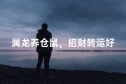 属龙养仓鼠，招财转运好伙伴