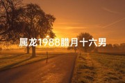 属龙1988腊月十六男：传奇人生路