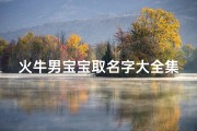 火牛男宝宝取名字大全集(牛宝宝名字起什么好)
