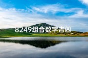8249组合数字吉凶_数字84组合好不好