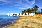 小孩子取名新华字典